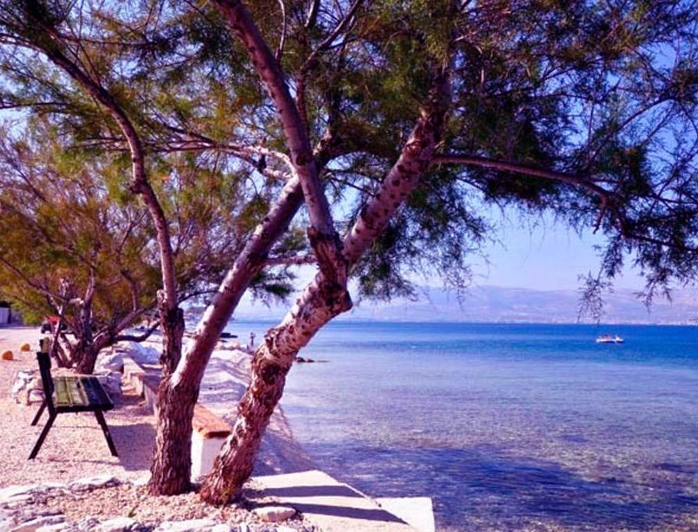 Apartman Bonaca Trogir Exteriör bild